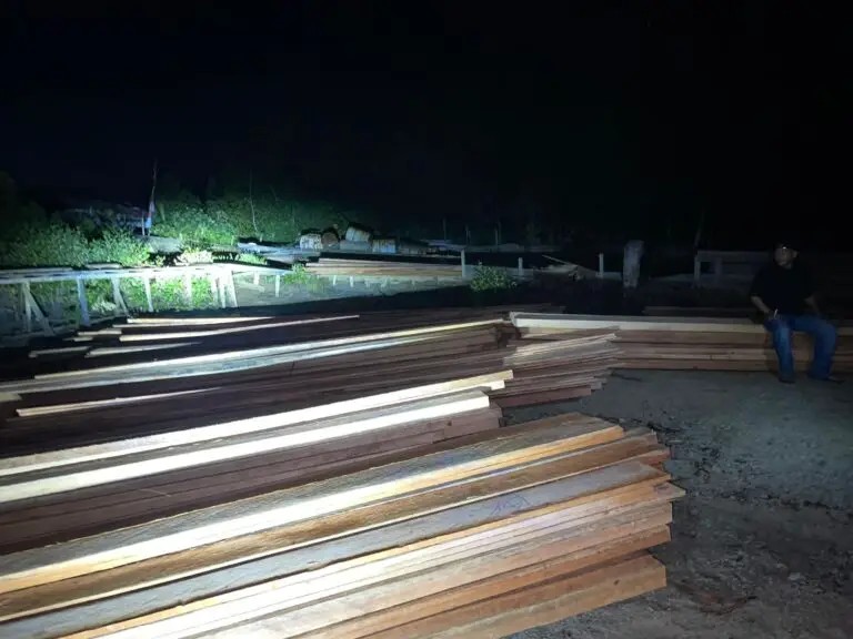 Perambahan Hutan Meranti Kian Brutal, Cukong Diduga Kebal Hukum