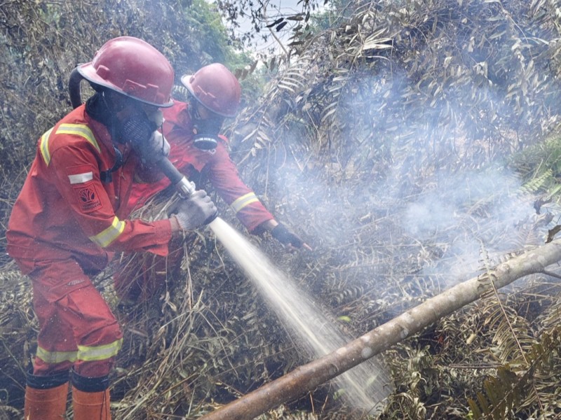 Pemadaman Karhutla di Riau Berlanjut, Asap Tebal Masih Selimuti Rantau Bais