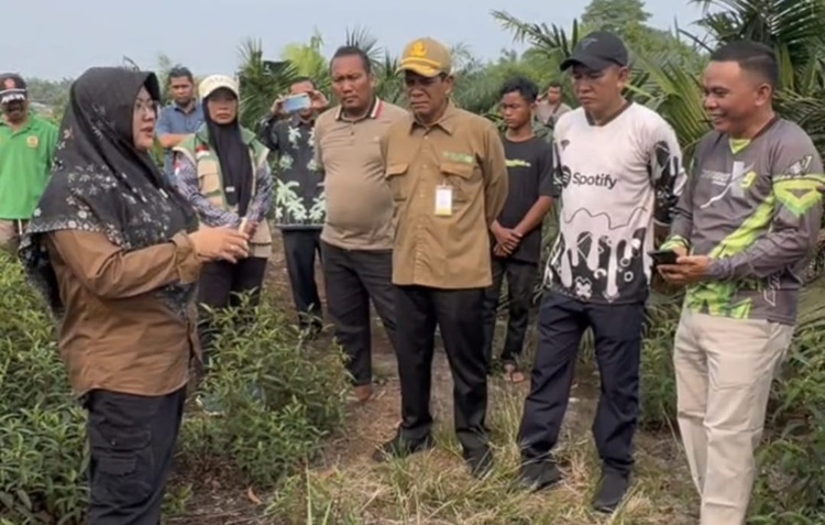 Jawab Tiga Pertanyaan Prabowo soal Karhutla, Bupati Afni Dorong Penguatan Tata Kelola Gambut