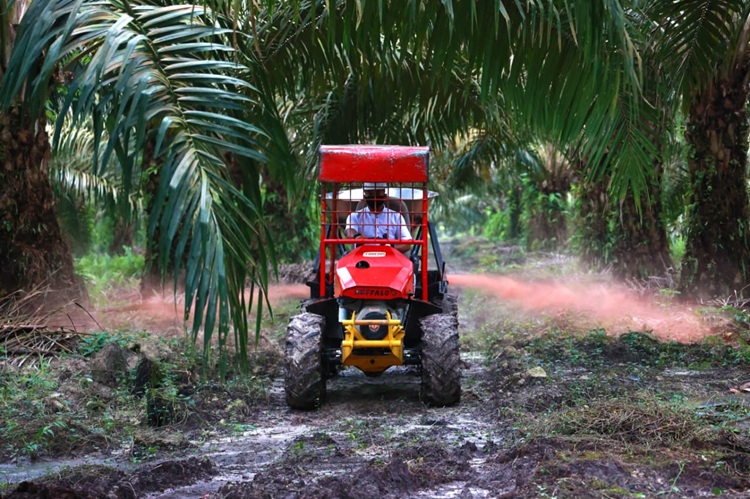 Kebun Air Molek 2 Siap Remajakan 862 Ha Sawit Renta Jaga Keberlanjutan