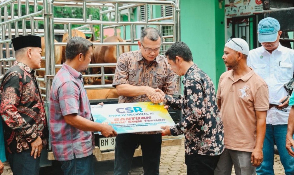 PTPN IV Rangkul Masyarakat Adat Kasikan-Talang Danto Perkuat Ketahanan Pangan dan Ekonomi Melalui Peternakan Sapi