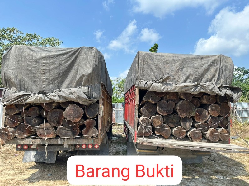 Polres Pelalawan Gagalkan Pengiriman 260 Batang Kayu Ilegal, Amankan Dua Orang Supir