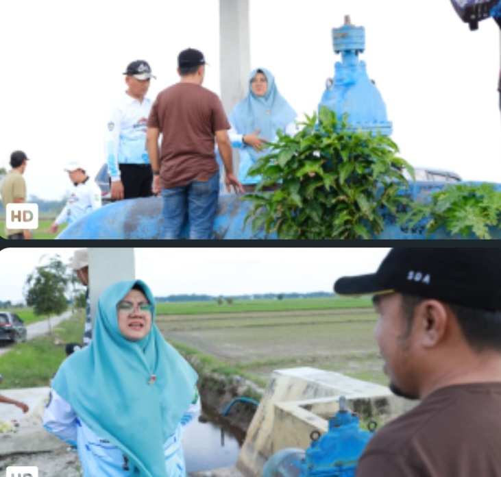 Bupati Siak Turun Tangan Atasi Krisis Air Sawah, Bentuk Satgas Bersama