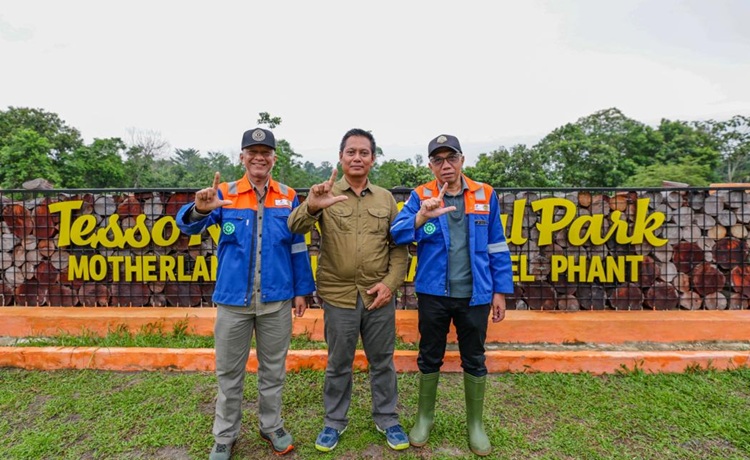 PT BSP Tuntaskan Rehabilitasi DAS Seluas 772 Hektare di Taman Nasional Tesso Nilo