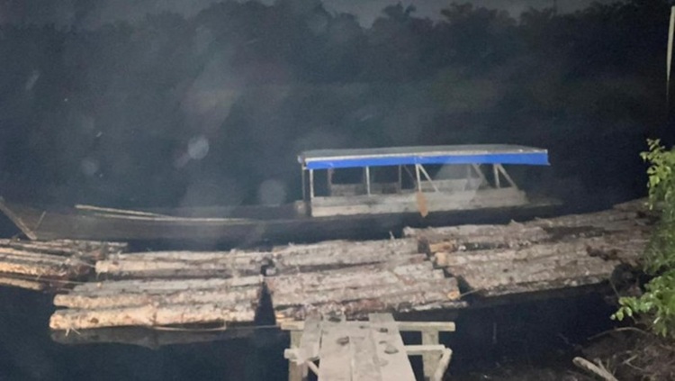 Polda Riau Bongkar Illegal Logging di Bengkalis, Tiga Pelaku Diamankan
