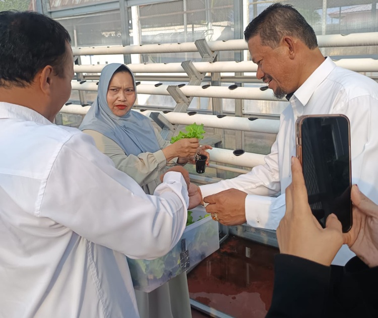 Kasmarni Ajak Warga Bengkalis Tanam Sayuran di Pekarangan, Tekan Inflasi Pangan