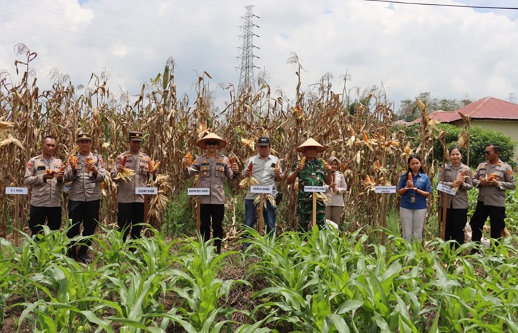 Polres Dairi Gelar Panen Raya Jagung dan Pasar Murah, Dorong Ketahanan Pangan di Sidikalang