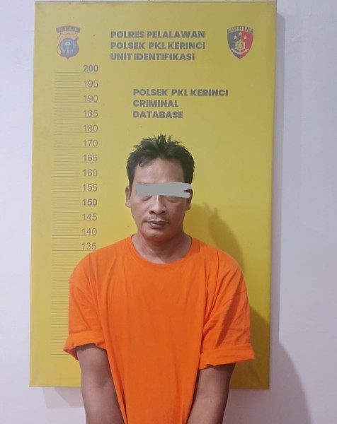 Mengaku  Anggota BNN, Pria di Pelalawan Peras Korban Rp200 Juta Pakai Pistol