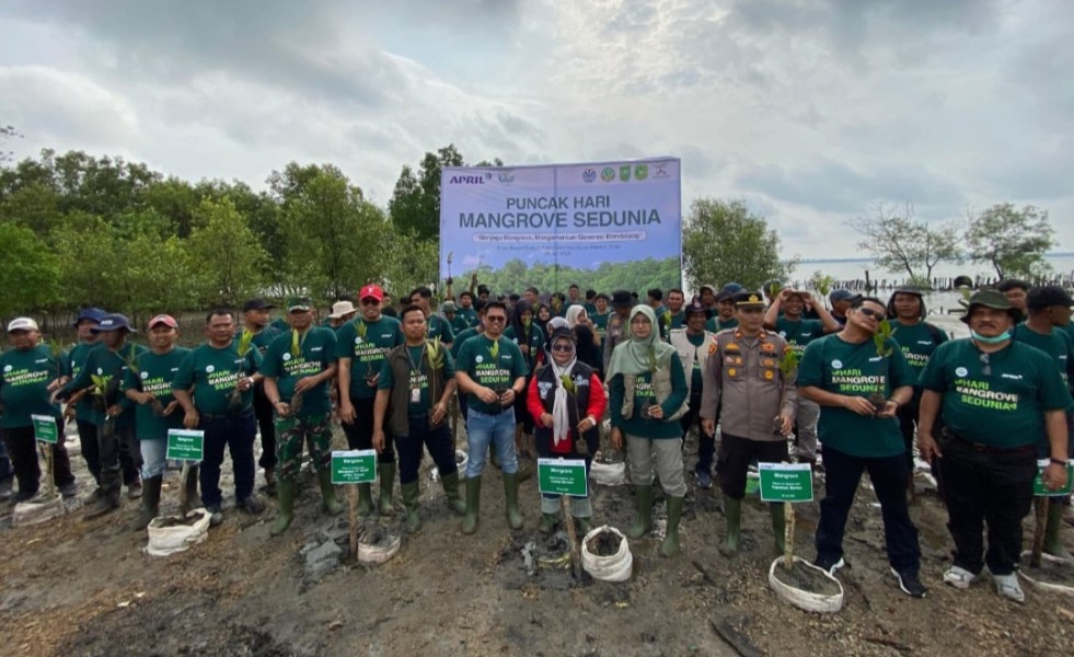 Perkuat Upaya Pelestarian Mangrove di Kepulauan Meranti, RAPP Dukung Gerakan Nasional Hari Mangrove Sedunia