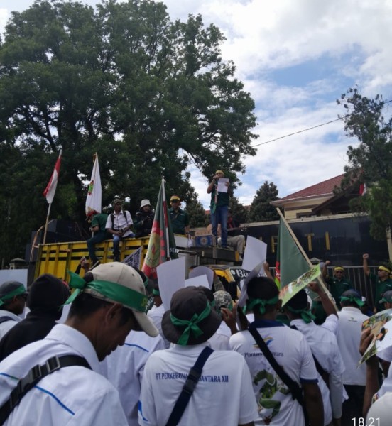 Kopi Ijen di Tengah Luka Agraria: Ribuan Pekerja Perkebunan Datangi Pemkab Bondowoso