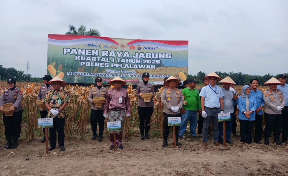 Hadiri Panen Raya Jagung Bersama Polres, Pemkab Pelalawan Dukung Ketahanan Pangan Nasional