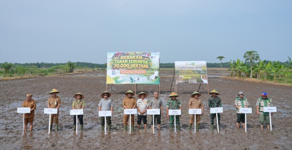 Siak Dapat Program Tanam Padi Serentak 70.000 Hektare