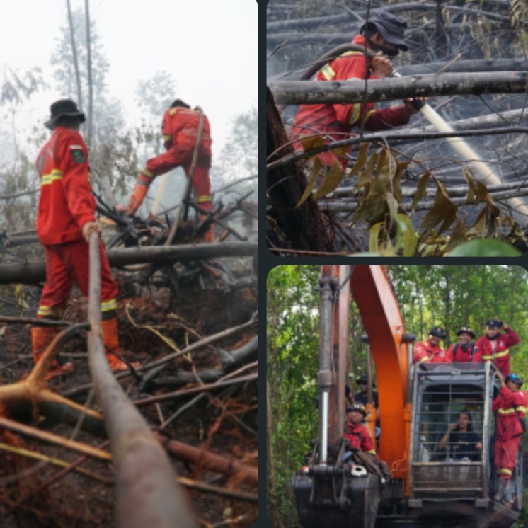Pemadaman Karhutla di Rupat Hampir Tuntas, Tinggal Pulau Api Kecil