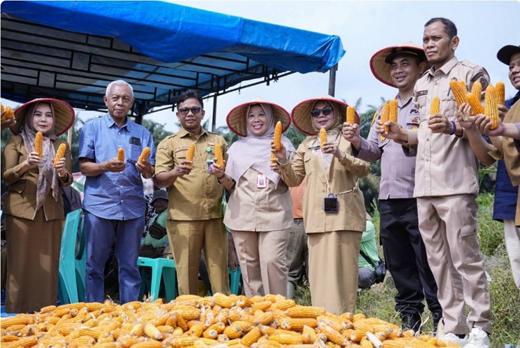 Pemkab Kampar Dorong Ketahanan Pangan, Desa Wajib Alokasikan 20 Persen Dana Desa Pengembangan Pertanian
