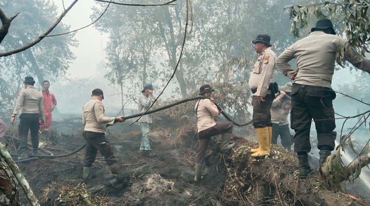 Karhutla di Kerumutan Meluas, Lima Hektare Lahan Gambut Terbakar