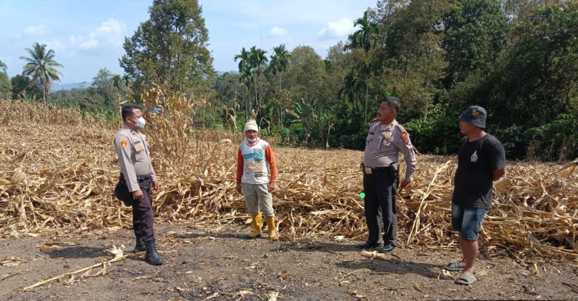 Dapat Merusak Lingkungan, Polsek Parongil Himbau Masyarakat Tidak Bakar Lahan Maupun Hutan