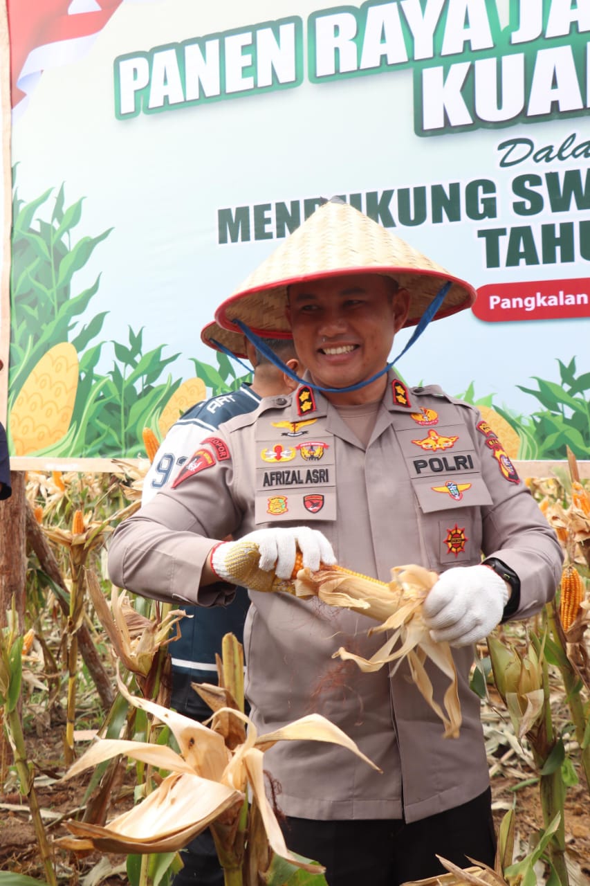 Dukung Swasembada Pangan, Kapolres Pelalawan Panen Raya Jagung Kuartal II Secara Serentak