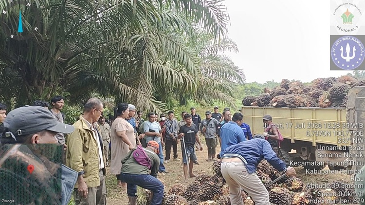 PTPN IV Tempuh Jalur Hukum Sikapi Aksi Pencurian Sawit Terorganisir di Sei Berlian