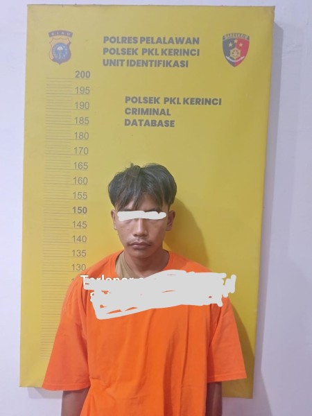 Polsek Kerinci Tangkap Pelaku Penggelapan Dana Rekan Kerja di Pelalawan