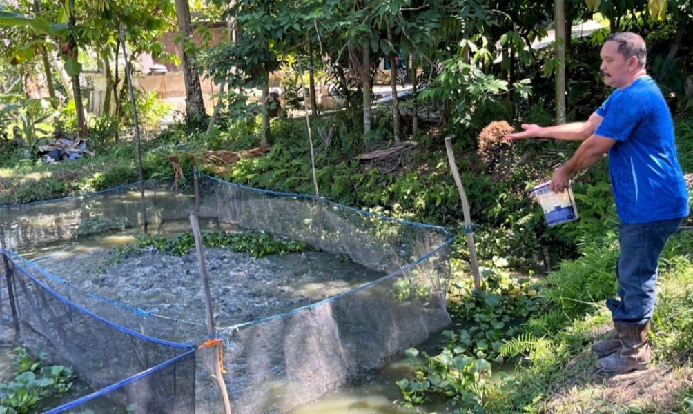 Warga Minas Rajut Kemandirian Ekonomi Lewat Budidaya Lele
