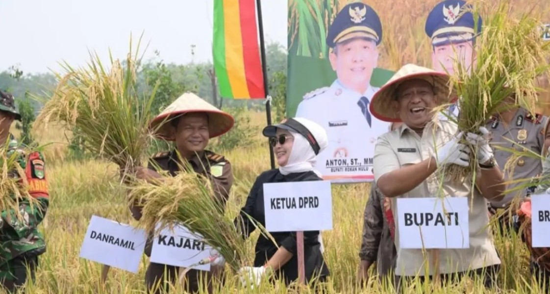 Panen 8,9 Ton per Hektare, Rohul Pacu Ketahanan Pangan