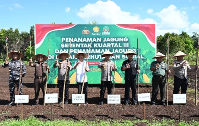Polres dan Pemkab Bengkalis Tanam Jagung Serentak