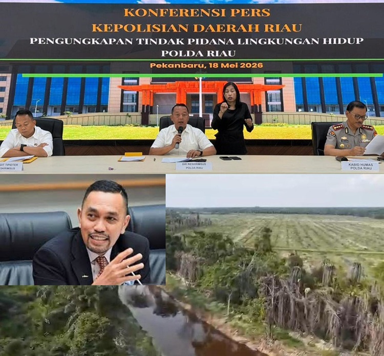 DPR Dukung Penetapan Tersangka PT Musim Mas, Polda Riau Diminta Tegas Bongkar Kejahatan Lingkungan