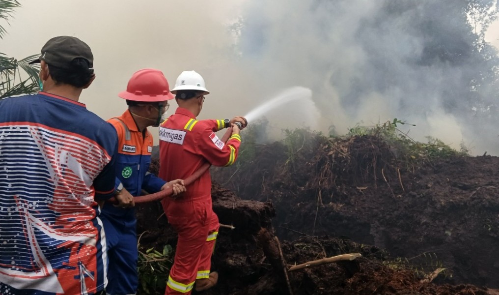 SKK Migas dan KKKS Sumbagut Turun Langsung Bantu Penanganan dan Pencegahan Karhutla di Riau