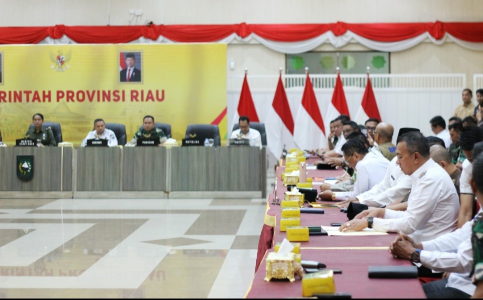 Wabup Meranti Hadiri Rakor Pengendalian Karhutla Riau, Dukung Penuh Kebijakaan Pusat