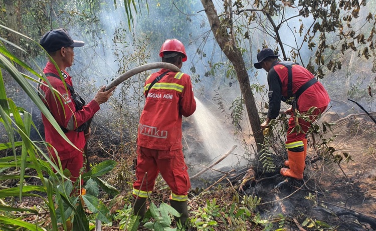 Jangan Sekedar Seremonial, DPR RI Desak Kemenhut Langkah Nyata Hadapi Karhutla