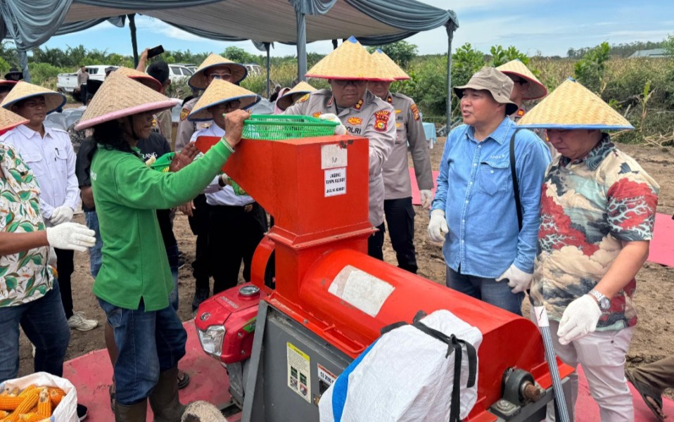 Panen Raya Jagung 2026, Kolaborasi Multi Pihak Wujudkan Kemandirian Pangan Berkelanjutan
