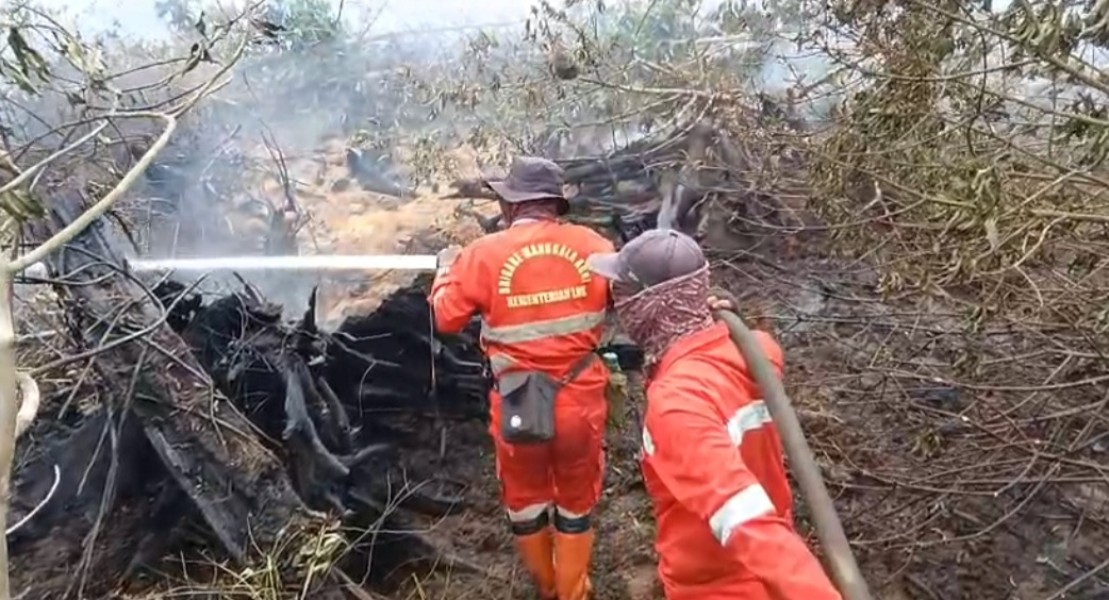 Karhutla Masih Mengancam, Manggala Agni Berjibaku di Sejumlah Titik di Riau