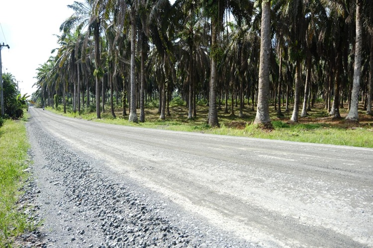 Bangun Jalan Penghubung Kampung di Dayun,  Bupati Afni: Wujud Nyata Komitmen untuk Rakyat