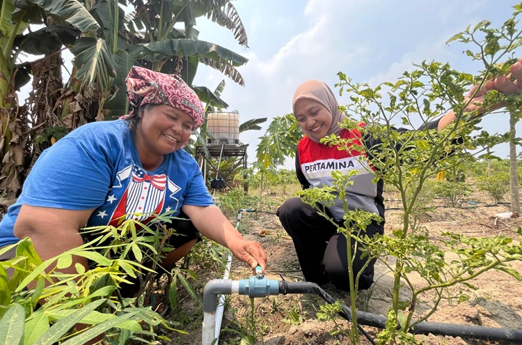 Irigasi Modern PHR Hidupkan Lahan Tandus Kelompok Wanita Tani Multi Talent