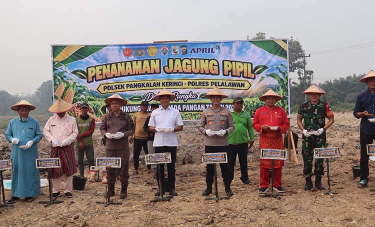 Forkopimda Pelalawan Tanam Jagung, Dorong Ketahanan Pangan